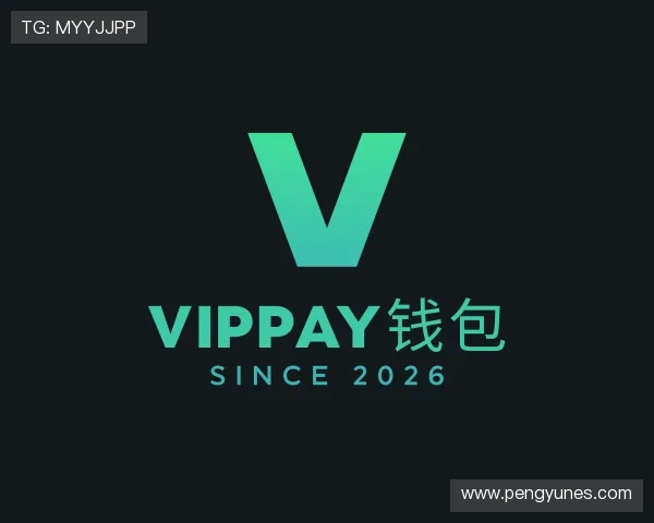 了解VipPay钱包